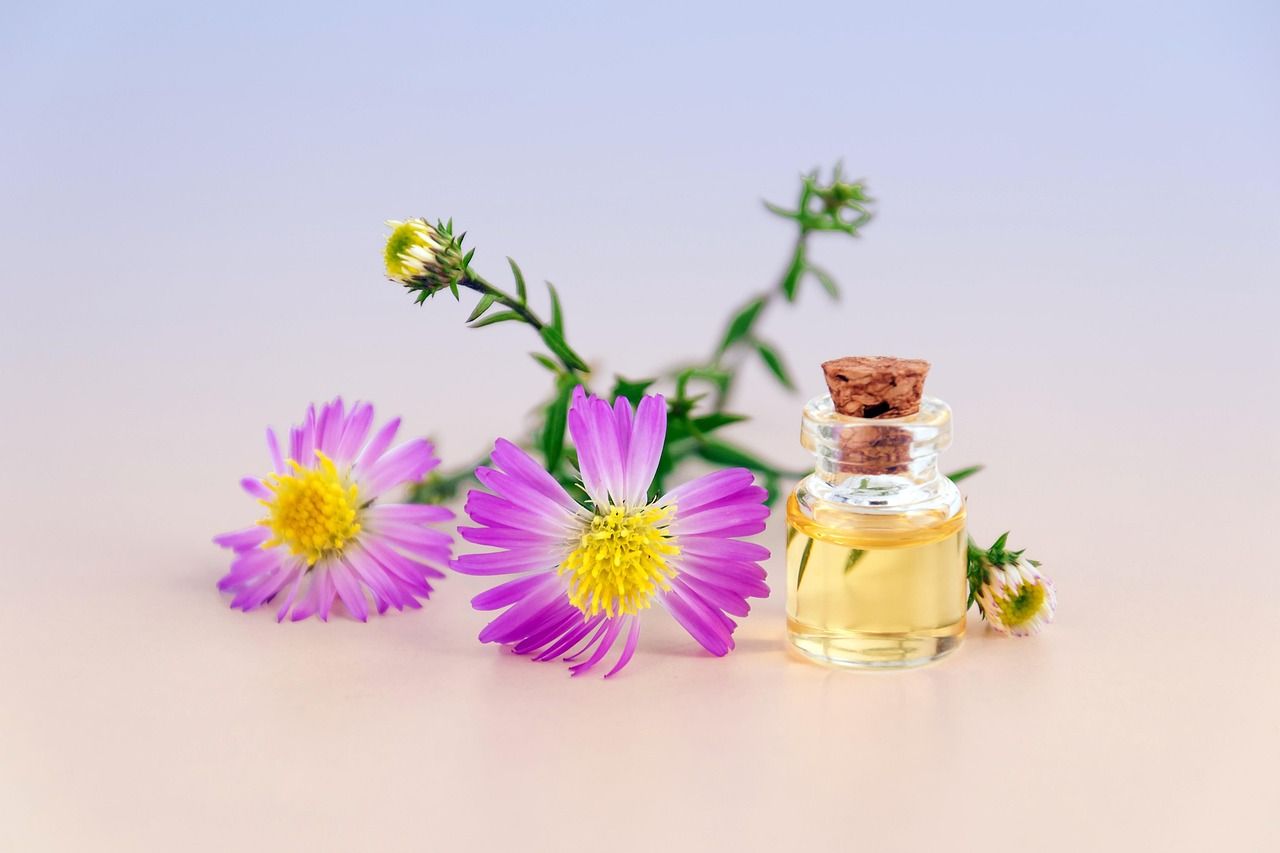 découvrez nos cosmétiques naturels, formulés avec des ingrédients biologiques et respectueux de votre peau pour une beauté saine et durable.