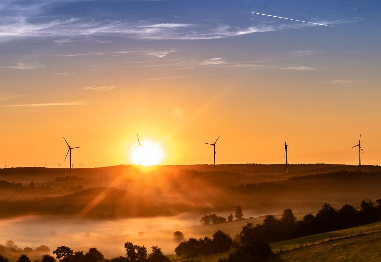 découvrez l'énergie de la biomasse, une source renouvelable et durable qui transforme les déchets organiques en électricité et chaleur. apprenez comment cette alternative écologique contribue à réduire les émissions de co2 et à promouvoir un avenir énergétique plus propre.