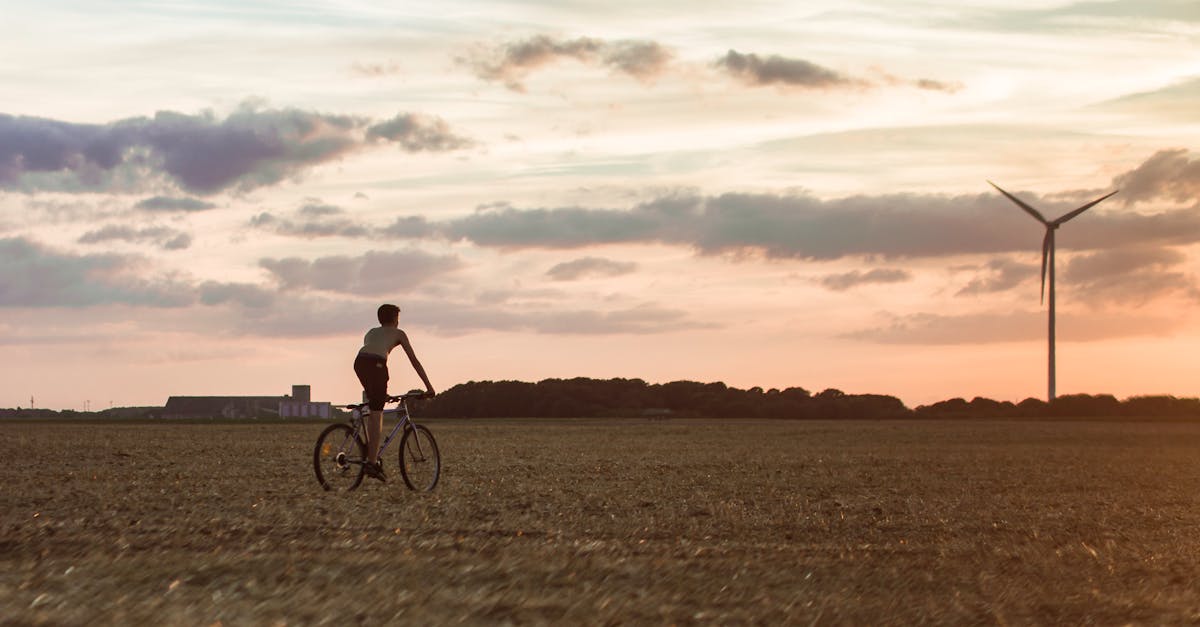 découvrez comment la durabilité transforme notre monde. explorez des pratiques respectueuses de l'environnement, des innovations durables et des solutions pour un avenir plus vert et responsable.
