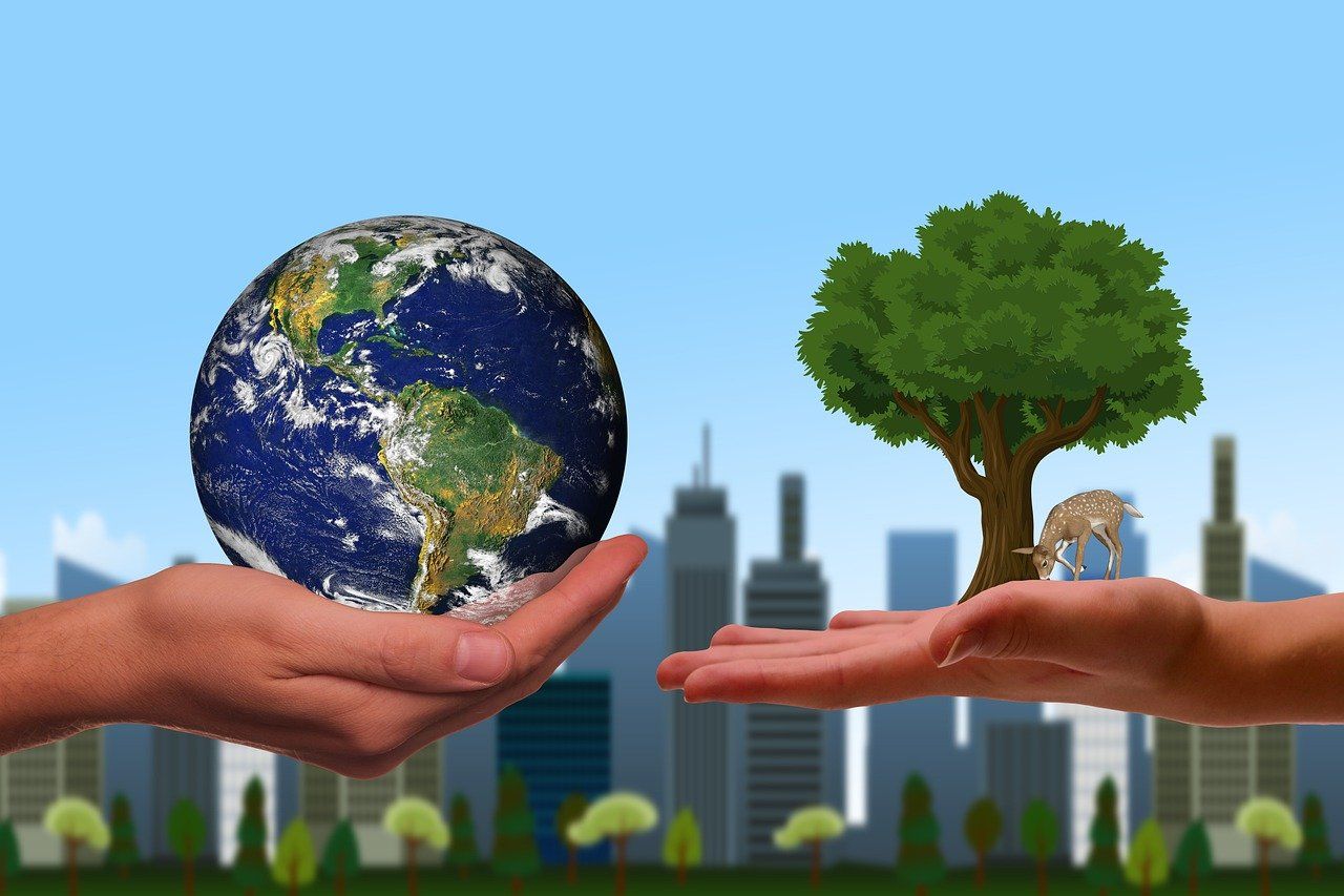 découvrez comment garantir la durabilité alimentaire grâce à des pratiques éthiques et respectueuses de l'environnement. explorez les solutions pour un avenir alimentaire durable, entre agriculture responsable et réduction du gaspillage.