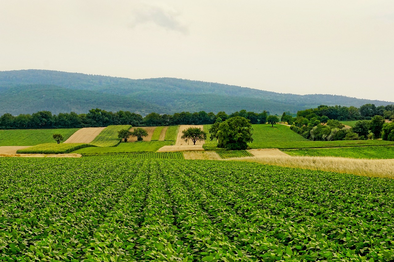 découvrez comment l'agriculture durable révolutionne nos méthodes de culture en alliant respect de l'environnement, efficacité économique et responsabilité sociale. explorez les pratiques innovantes qui favorisent la biodiversité et la santé des sols pour un avenir plus vert.
