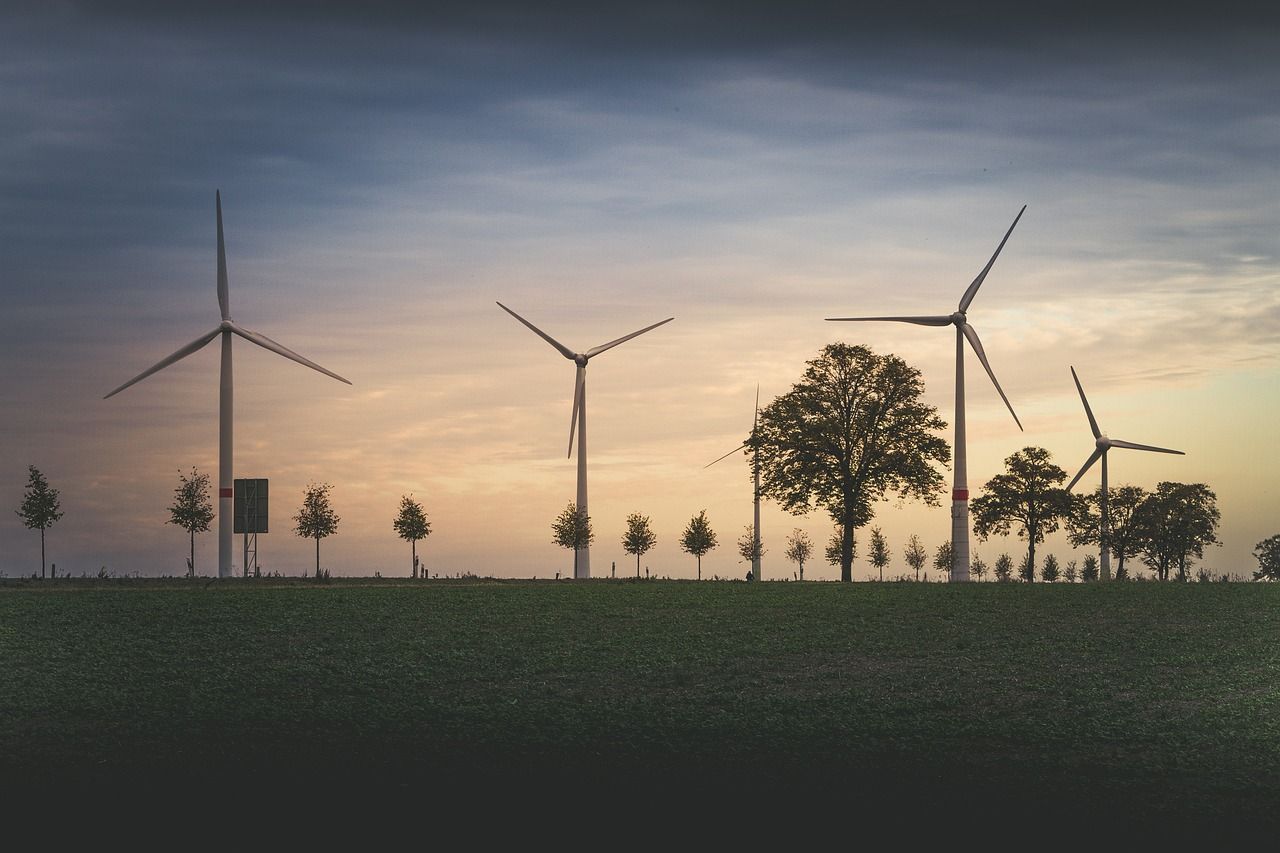 découvrez l'énergie éolienne, une source d'énergie renouvelable et durable, qui utilise la puissance du vent pour produire de l'électricité. apprenez comment cette technologie contribue à la réduction des émissions de carbone et à la transition vers un avenir plus vert.