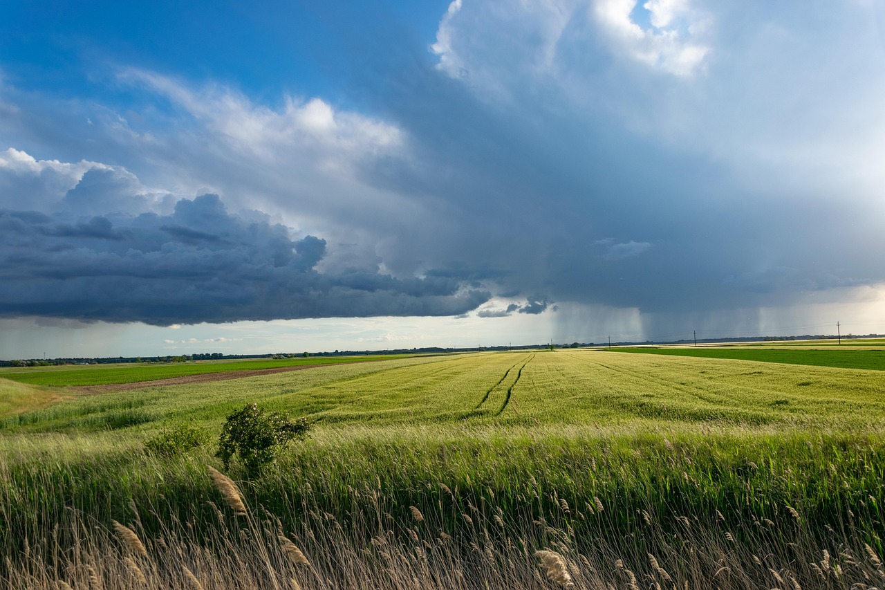 découvrez l'agriculture régénérative, une approche innovante qui vise à restaurer les sols, améliorer la biodiversité et promouvoir des pratiques durables. apprenez comment cette méthode contribue à la santé de notre planète tout en répondant aux besoins alimentaires croissants.