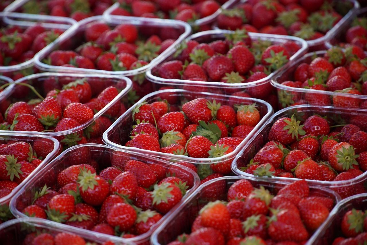 découvrez l'agriculture durable, une approche innovante visant à promouvoir des pratiques respectueuses de l'environnement tout en garantissant la sécurité alimentaire. explorez des techniques qui préservent les ressources, améliorent la biodiversité et favorisent un avenir responsable.
