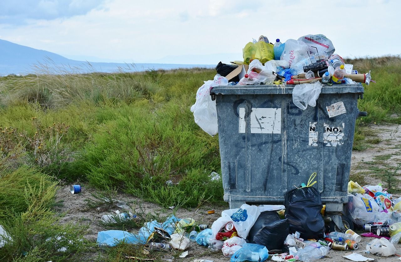découvrez des astuces et solutions efficaces pour réduire le gaspillage alimentaire et contribuer à un mode de vie plus durable.