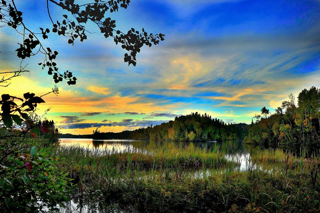 découvrez les meilleures pratiques de conservation de l'eau pour préserver cette ressource précieuse. apprenez des astuces simples pour économiser l'eau à la maison et dans le jardin, tout en contribuant à la protection de l'environnement.