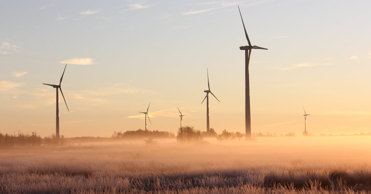 découvrez comment la durabilité transforme nos modes de vie et d'affaires. apprenez des pratiques respectueuses de l'environnement qui favorisent un avenir plus vert et durable pour les générations futures.