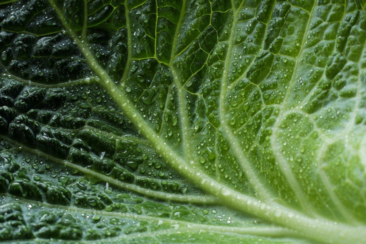 découvrez l'eco-innovation, un concept révolutionnaire alliant écologie et innovation technologique. explorez comment les entreprises et les start-ups transforment leurs pratiques pour réduire leur impact environnemental tout en stimulant la croissance durable. rejoignez le mouvement vers un avenir plus vert et responsable!