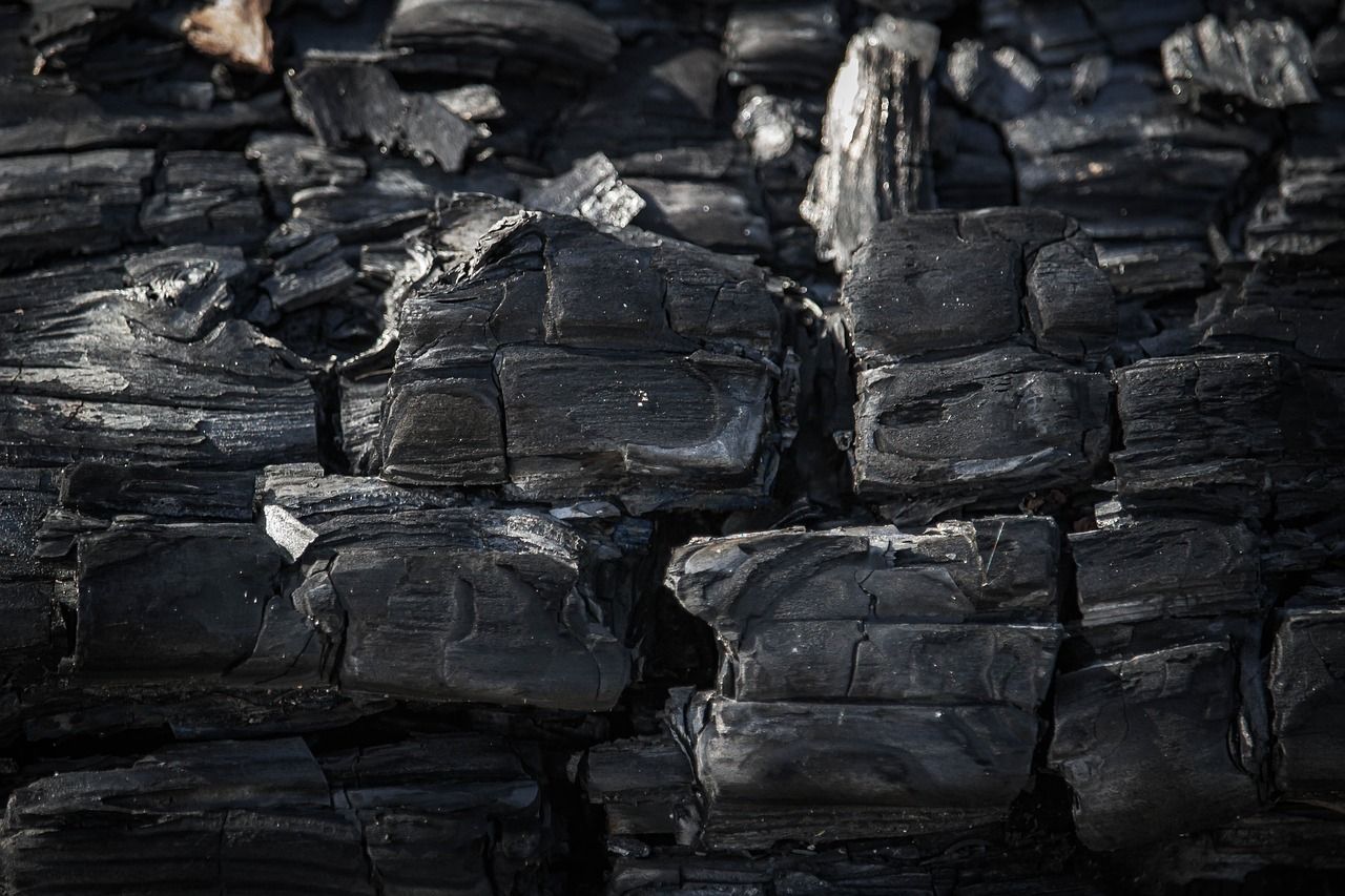 découvrez les avancées et les technologies innovantes de la capture du carbone, un enjeu crucial dans la lutte contre le changement climatique et pour un avenir durable. explorez les méthodes, les bénéfices et l'impact de cette solution écologique.