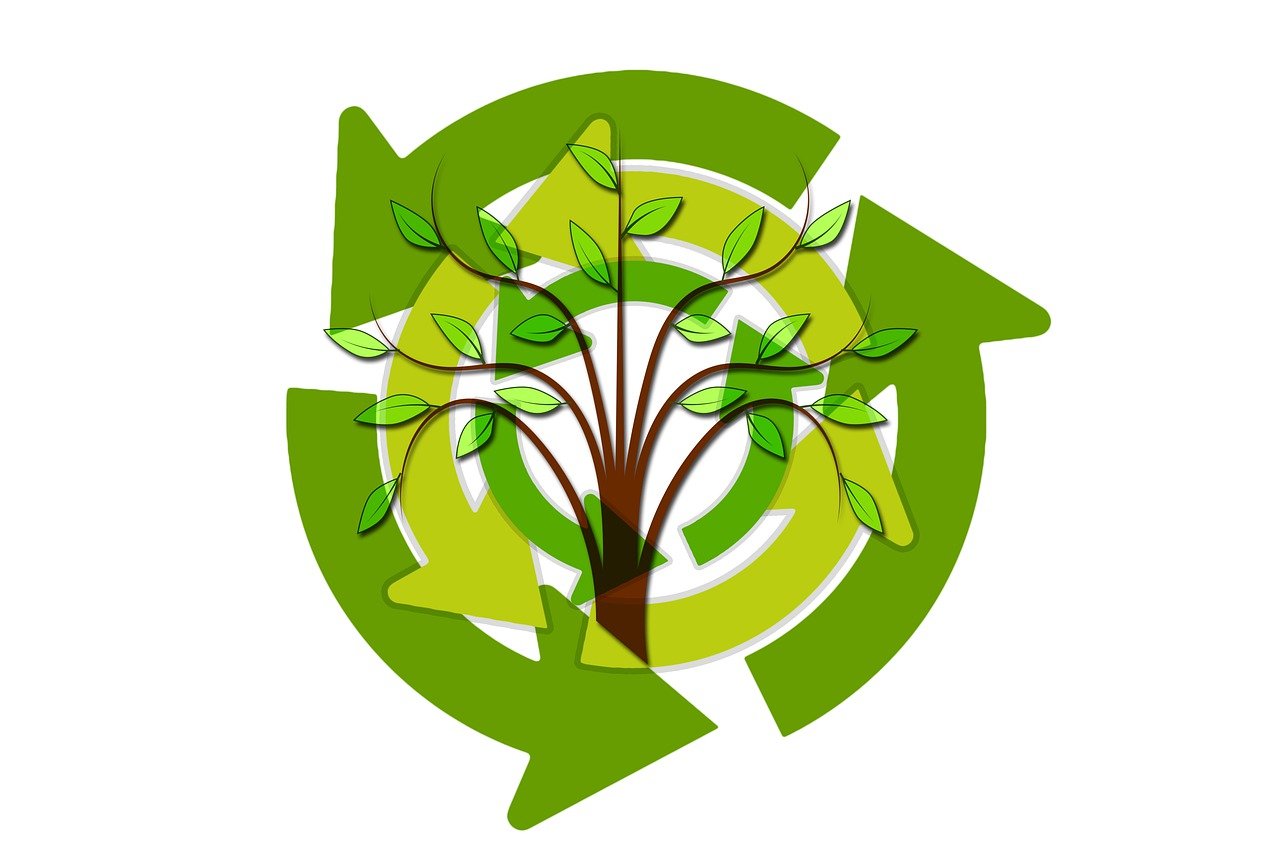 découvrez l'importance de la durabilité dans notre monde moderne, explorez des pratiques écologiques, des innovations responsables et comment chacun peut contribuer à un avenir plus respectueux de l'environnement.
