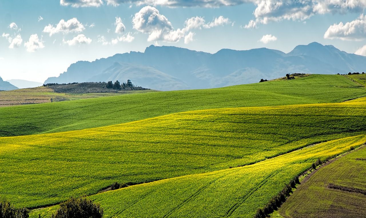 découvrez l'agriculture durable, une approche éco-responsable qui préserve l'environnement tout en garantissant la sécurité alimentaire. apprenez comment cette méthode innovante combine techniques agricoles traditionnelles et technologies modernes pour un avenir plus vert.