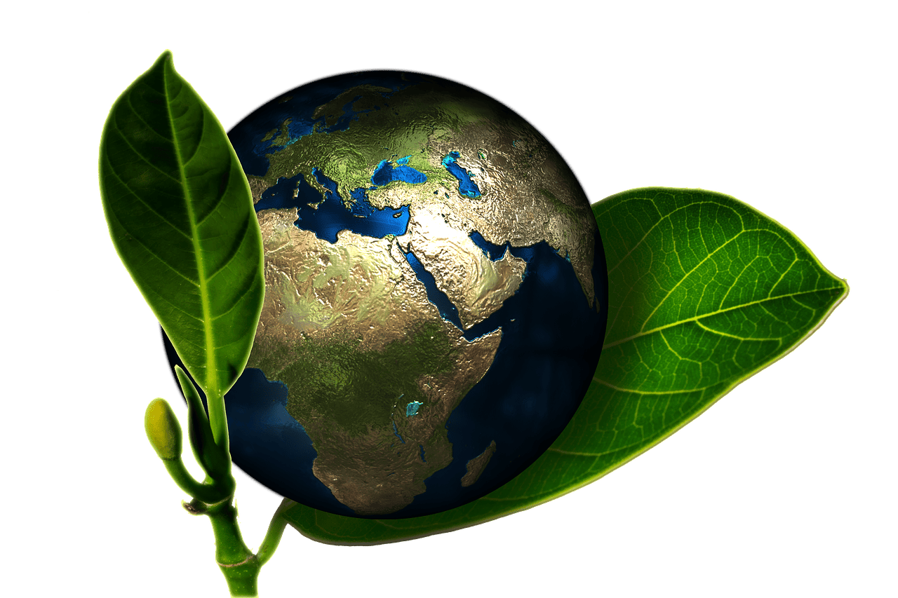découvrez l'impact environnemental des activités humaines et les solutions pour préserver notre planète. informez-vous sur les enjeux écologiques et les gestes à adopter pour un avenir durable.