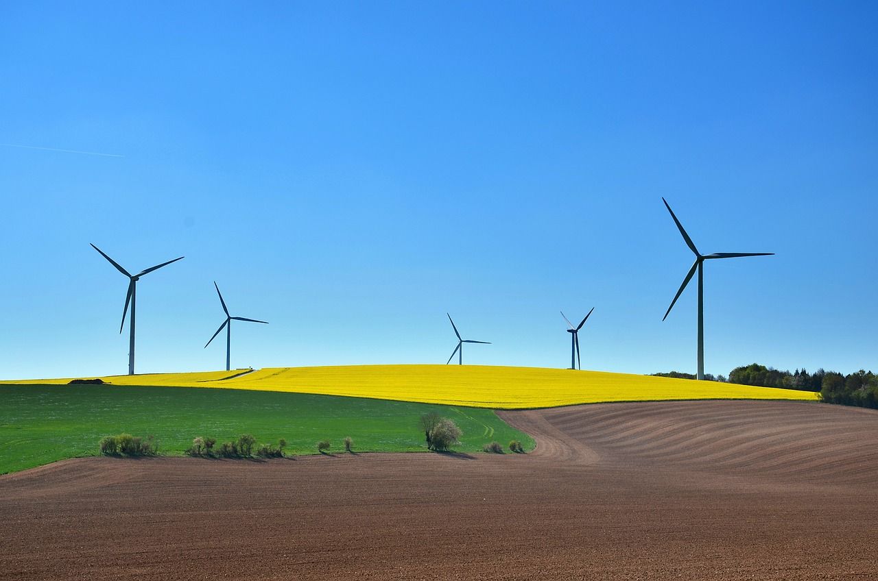 découvrez l'importance de la consommation durable et comment elle contribue à préserver notre planète. apprenez des conseils pratiques pour adopter un mode de vie plus écoresponsable et réduire votre empreinte écologique.