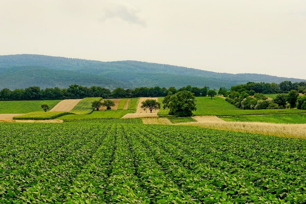 Les pratiques agricoles durables : un enjeu pour l’avenir de l’agriculture