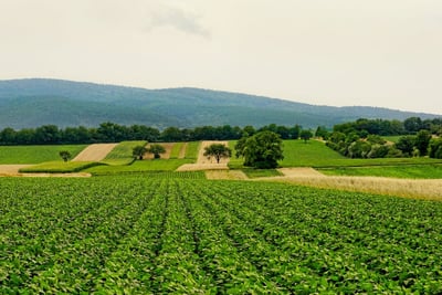 Les pratiques agricoles durables : un enjeu pour l’avenir de l’agriculture