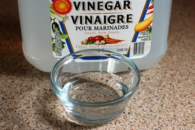 Produits ménagers écologiques : Conseils et alternatives saines pour un intérieur plus vert