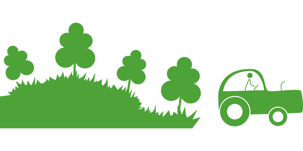 L’agroforesterie : une solution durable pour l’agriculture et la biodiversité