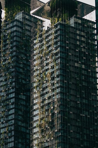 Vers une collectivité durable : stratégies et bonnes pratiques