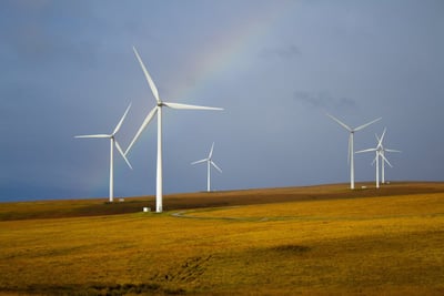 La maintenance écologique : pratiques durables pour préserver l’environnement