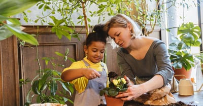 Éducation environnementale : Comprendre l’importance de préserver notre planète
