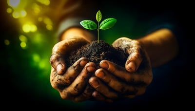 La ferme expérimentale : un laboratoire vivant pour l’agriculture durable