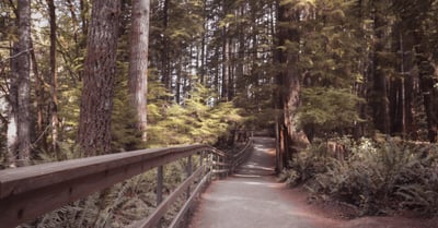 Préservation des habitats : enjeux et solutions pour la biodiversité