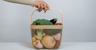 Capacité de charge écologique : Comprendre les limites de notre environnement