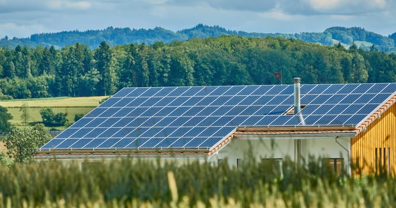 Toiture végétalisée : 7 avantages pour une maison écologique