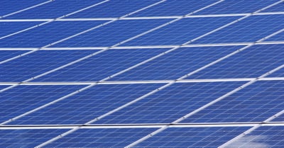 Neutralité carbone : comprendre les enjeux et les solutions pour un avenir durable