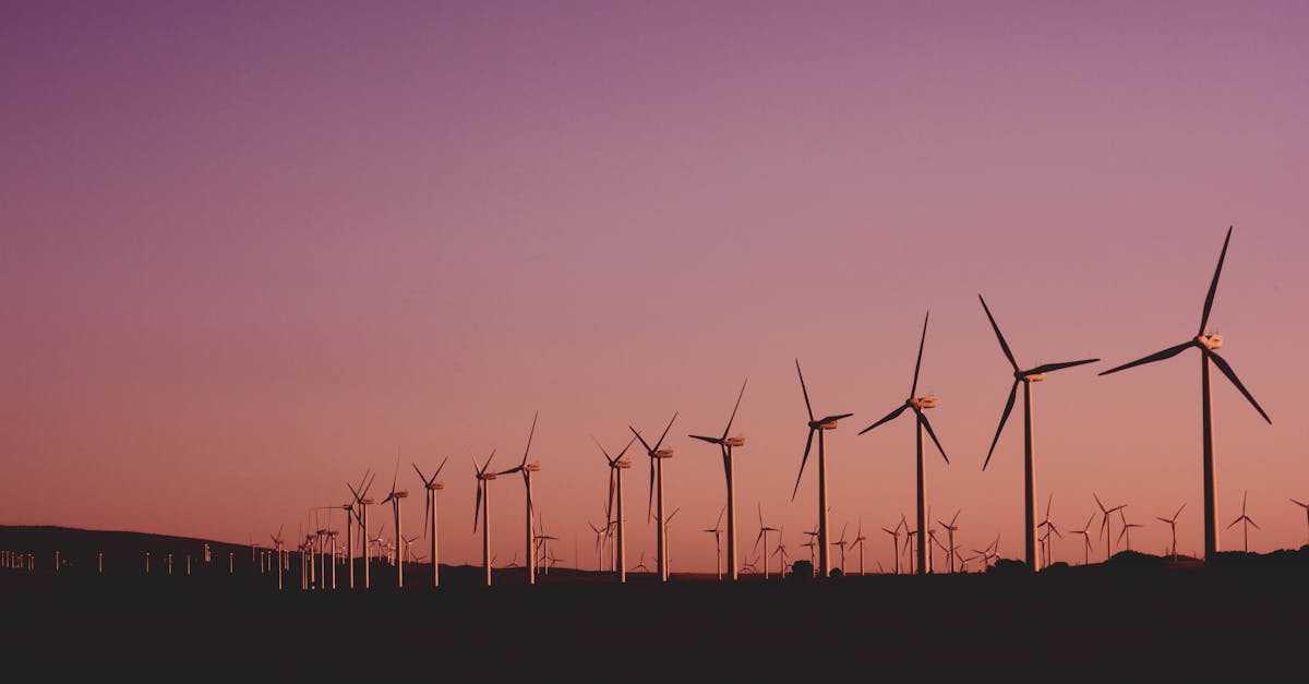Développement durable : 5 stratégies innovantes pour un avenir écologiquement responsable