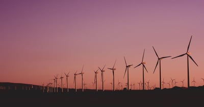Développement durable : 5 stratégies innovantes pour un avenir écologiquement responsable
