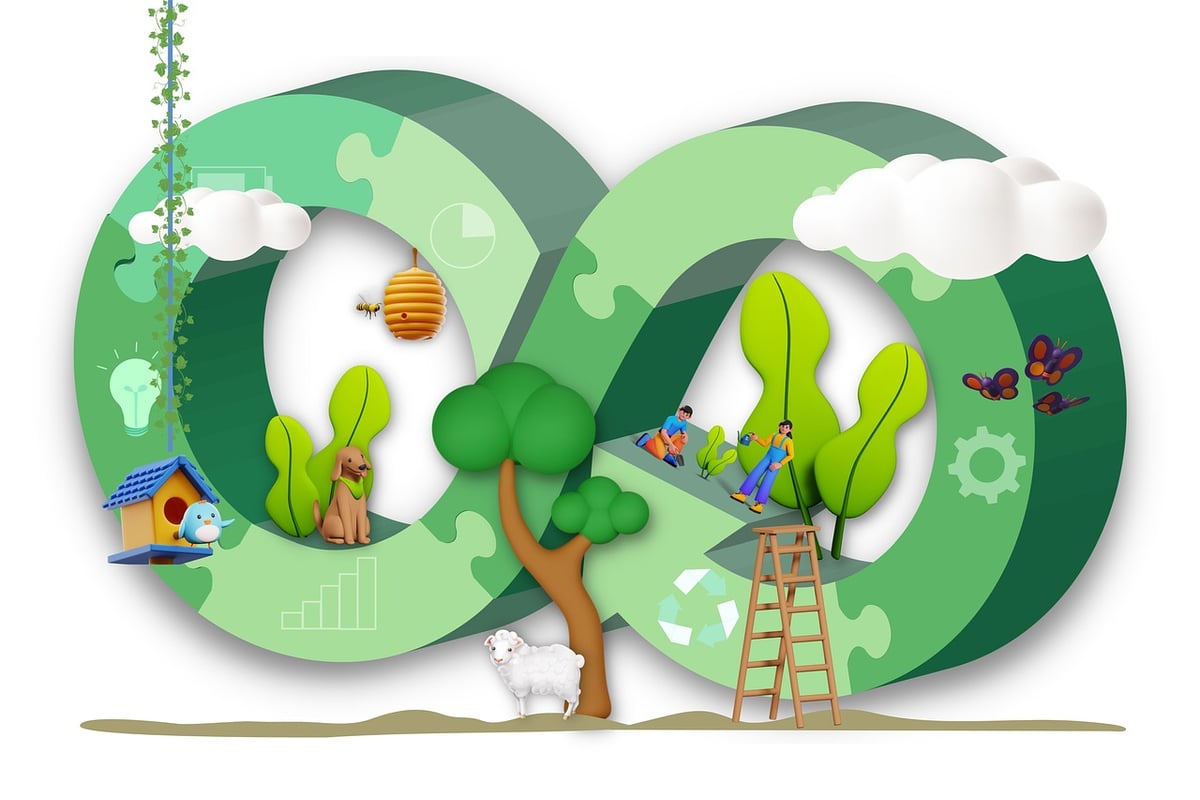 Les avantages des forêts durables pour l’environnement et l’économie