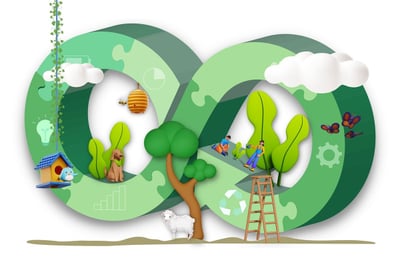 Les avantages des forêts durables pour l’environnement et l’économie