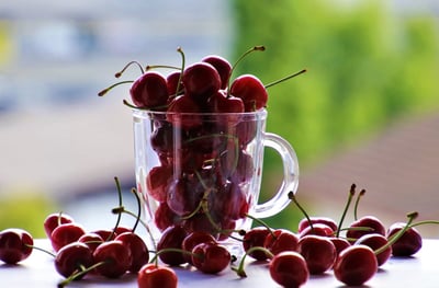 Les avantages des produits biodégradables pour l’environnement