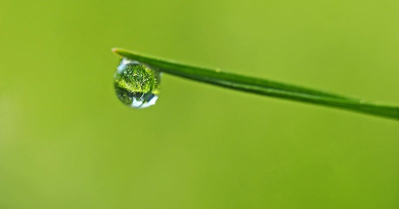 Meilleur système récupération eau de pluie jardin : le guide