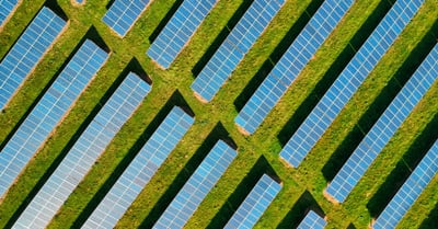 Développement écologique : les nouvelles stratégies pour un avenir durable