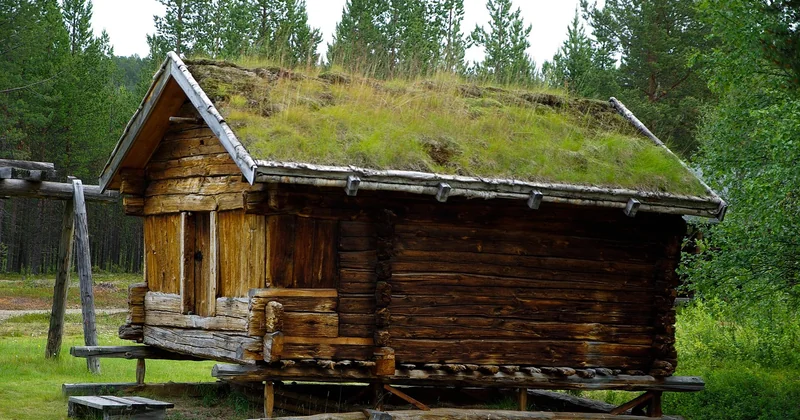 Toit végétalisé : avantages et inconvénients, sans la langue de bois