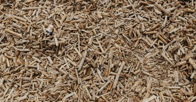 Biomasse : Une solution durable pour l’énergie renouvelable