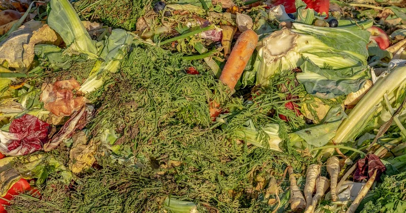 L'avantage écologique réel : au-delà du discours habituel