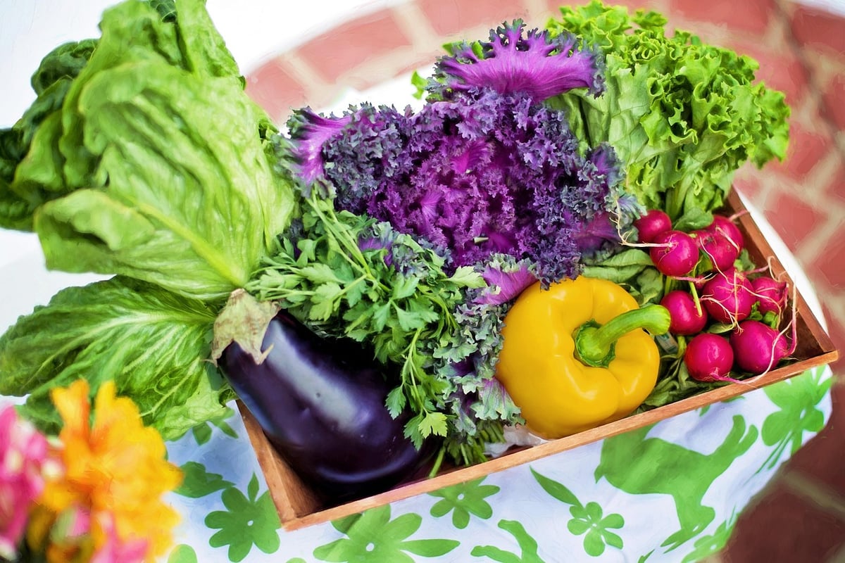 Jardinage bio balcon : astuces et conseils pour cultiver sainement en ville