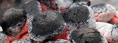 Comprendre la captation du carbone pour un avenir durable