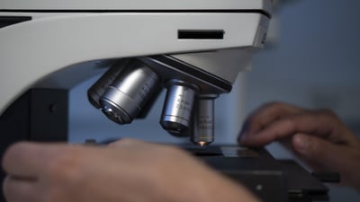 Les biotechnologies vertes : une solution durable pour l’agriculture moderne