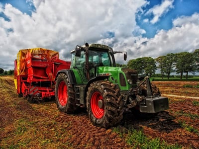 Cultiver en bio : 5 astuces pour réussir son potager durable