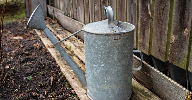 Cuve récupération eau pluie arrosage potager : le guide malin