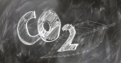 La neutralité carbone : enjeux et solutions pour un avenir durable