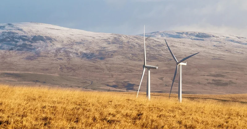 Éolienne domestique 6 000 W ou 10 000 W : quelle puissance viser ?