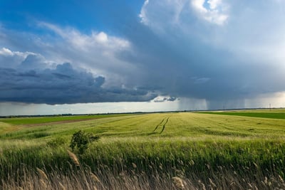 Les avantages de l’agriculture urbaine dans nos villes