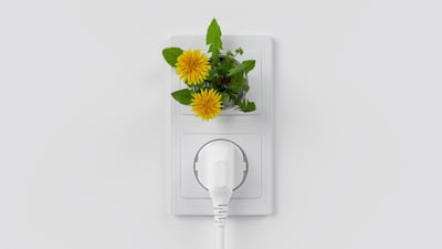 Les avantages de l’agriculture durable pour l’environnement et l’économie