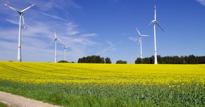Agriculture bio : Les bienfaits d’une pratique durable pour l’environnement