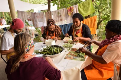 Comprendre la permaculture : principes et pratiques essentielles